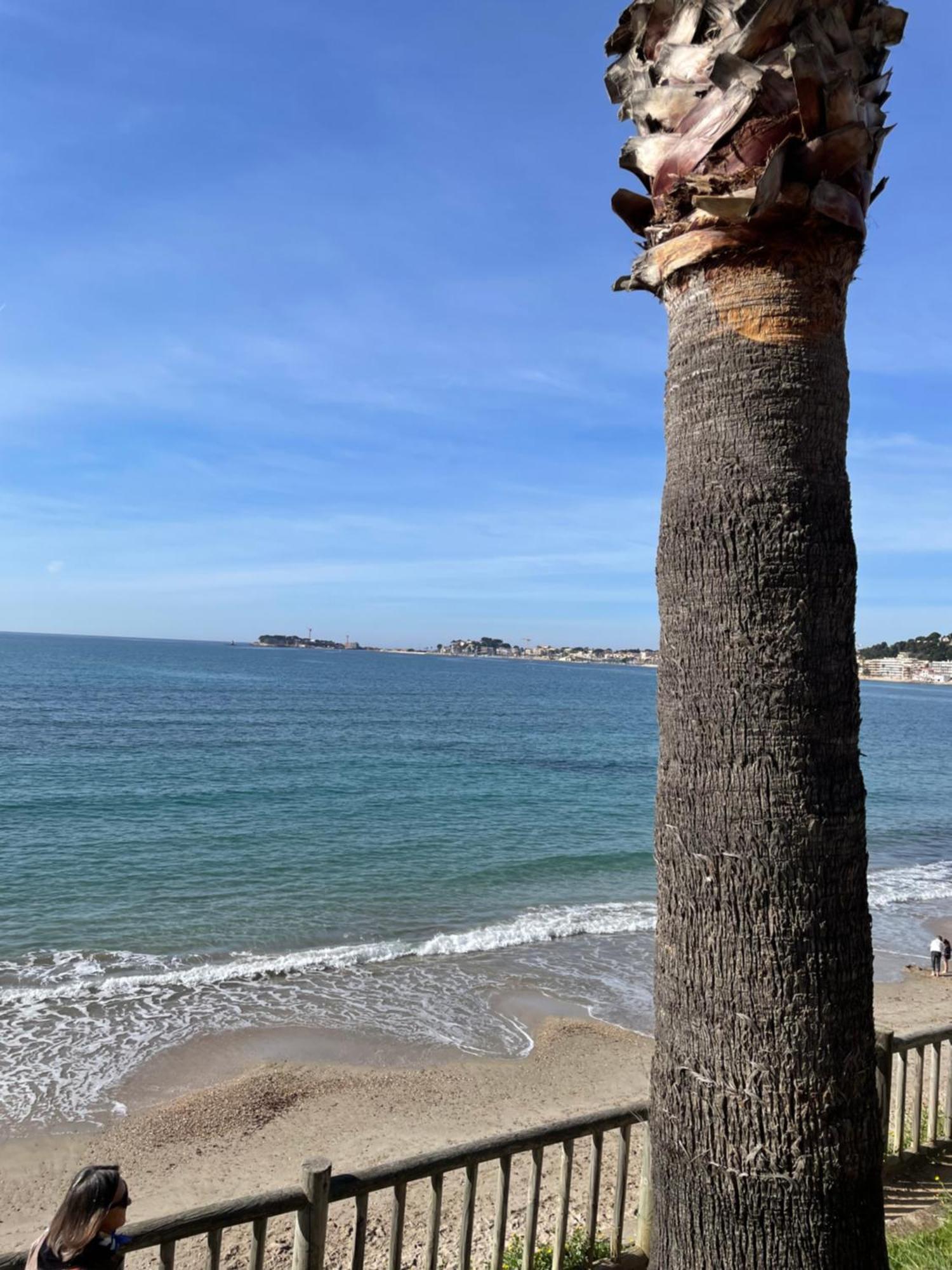 Studio Climatise Piscine Et Proche Plage Sanary-sur-Mer Buitenkant foto